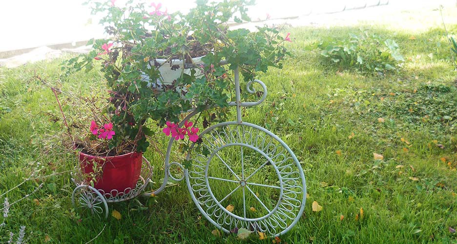 Des petits vélos en fleurs